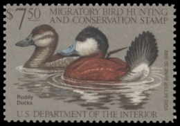 Scan of RW48 1981 Duck Stamp  Unsigned F-VF