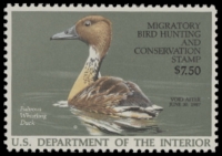 Scan of RW53 1986 Duck Stamp  MNH F-VF