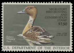 Scan of RW53 1986 Duck Stamp  Unsigned F-VF