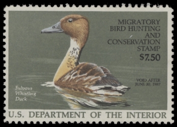 Scan of RW53 1986 Duck Stamp  Unsigned F-VF