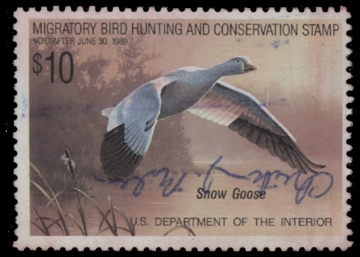 Scan of RW55 1988 Duck Stamp  Used F-VF