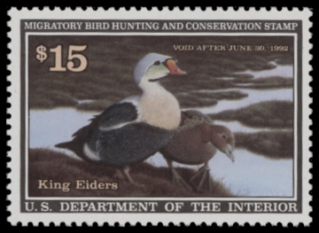 Scan of RW58 1991 Duck Stamp  MNH F-VF