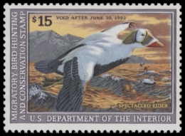 Scan of RW59 1992 Duck Stamp  MNH F-VF