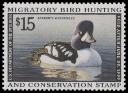 Scan of RW65 1998 Duck Stamp  MNH F-VF