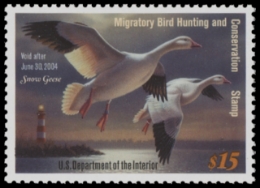 Scan of RW70 2003 Duck Stamp  MNH F-VF