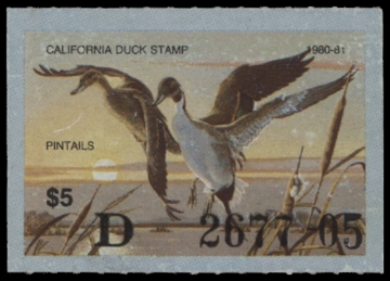 Scan of 1980 California Duck Stamp MNH VF