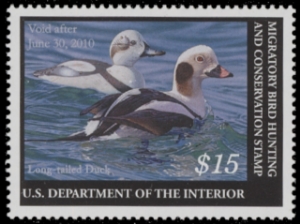 Scan of RW76 2009 Duck Stamp  MNH VF