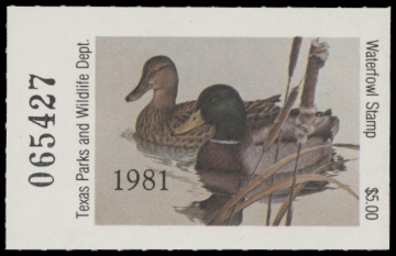 Scan of 1981 Texas Duck Stamp - First of State MNH VF