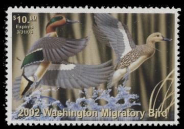 Scan of 2002 Washington Duck Stamp MNH VF