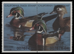 Scan of 1999 California Duck Stamp MNH VF