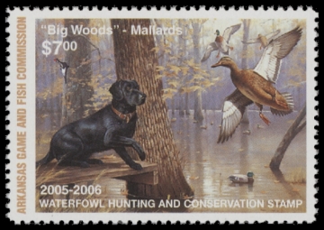 Scan of 2005 Arkansas Duck Stamp MNH VF