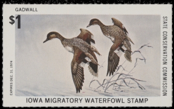 Scan of 1974 Iowa Duck Stamp MNH VF