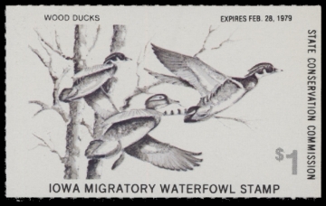 Scan of 1978 Iowa Duck Stamp MNH VF