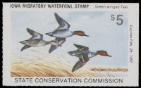 Scan of 1981 Iowa Duck Stamp MNH VF