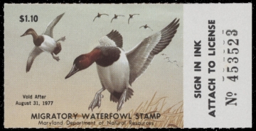 Scan of 1976 Maryland Duck Stamp MNH VF