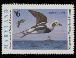 Scan of 2000 Maryland Duck Stamp MNH VF