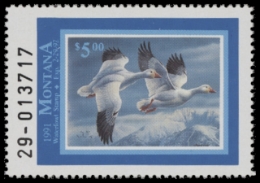 Scan of 1991 Montana Duck Stamp MNH VF