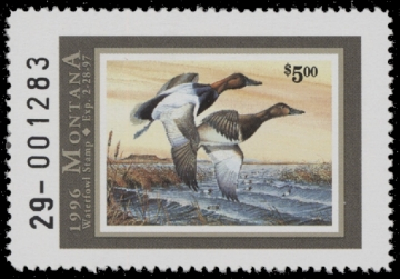 Scan of 1996 Montana Duck Stamp MNH VF