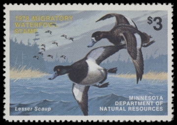 Scan of 1978 Minnesota Duck Stamp MNH VF