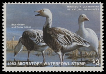 Scan of 1983 Minnesota Duck Stamp MNH VF