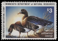 Scan of 1985 Minnesota Duck Stamp MNH VF