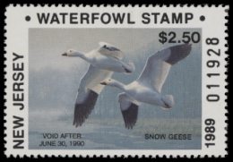 Scan of 1989 New Jersey Duck Stamp MNH VF