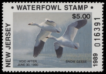 Scan of 1989 New Jersey NR Duck Stamp MNH VF