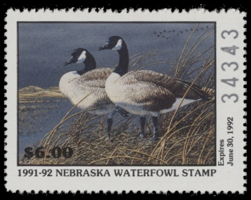 Scan of 1991 Nebraska Duck Stamp - First of State MNH VF