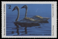 Scan of 1981 Nevada Duck Stamp MNH VF