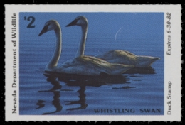 Scan of 1981 Nevada Duck Stamp MNH VF