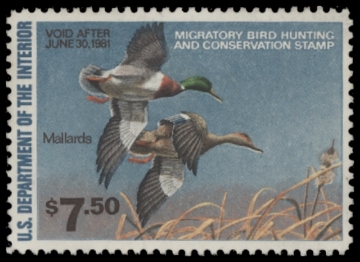 Scan of RW47 1980 Duck Stamp. Unsigned