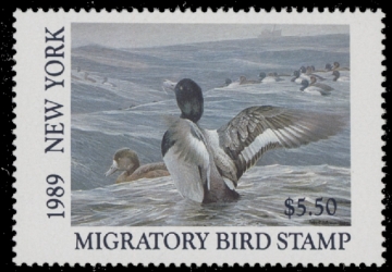 Scan of 1989 New York Duck Stamp MNH VF