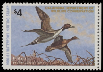 Scan of 1980 Oklahoma Duck Stamp - First of State MNH VF