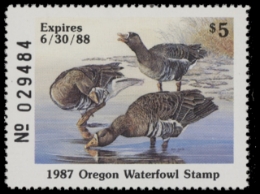 Scan of 1987 Oregon Duck Stamp MNH VF