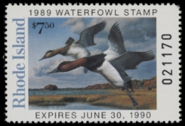 Scan of 1989 Rhode Island Duck Stamp - First of State MNH VF