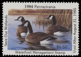 Scan of 1984 Pennsylvania Duck Stamp MNH VF