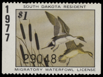 Scan of 1977 South Dakota Duck Stamp MNH VF