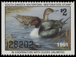 Scan of 1991 South Dakota Duck Stamp MNH VF