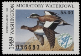 Scan of 1989 Washington Duck Stamp MNH VF