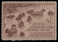 Scan of RW8 1941 Duck Stamp  MNH F-VF