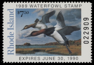 Scan of 1989 Rhode Island Duck Stamp - First of State MNH VF