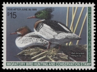 Scan of RW61 1994 Duck Stamp  MNH F-VF