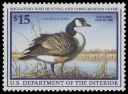 Scan of RW64 1997 Duck Stamp  MNH F-VF