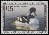 Scan of RW65 1998 Duck Stamp  MNH F-VF