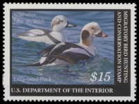 Scan of RW76 2009 Duck Stamp  MNH F-VF