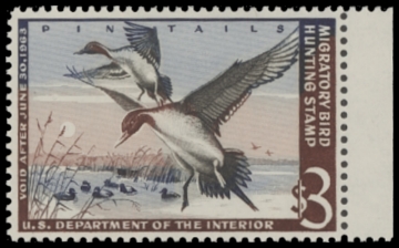 Scan of RW29 1962 Duck Stamp  MLH F-VF