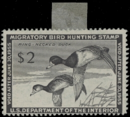 Scan of RW21 1954 Duck Stamp. MLH