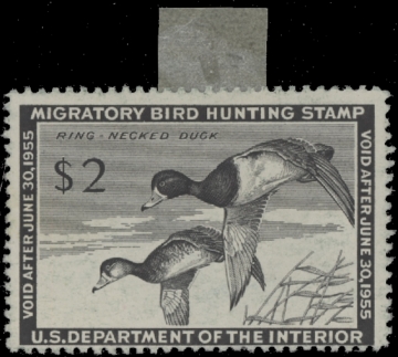 Scan of RW21 1954 Duck Stamp. MLH