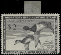 Scan of RW21 1954 Duck Stamp 
