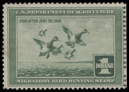 Scan of RW4 1937 Duck Stamp  Unsigned F-VF